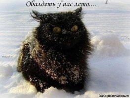 Середина мая в Норильске выглядит так