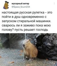 Ну если сантехник хомосапиенс рукожопус то да, а если нормальный, то нет таких идиотских проблем как и конденсата на трубах или бачке унитаза.