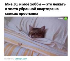 Комментарии и картинки из соцсетей. Свежак за 16 мая