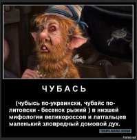 Анатолий Чубайс попал в израильское отделение МВД