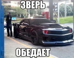 Фотоподборка