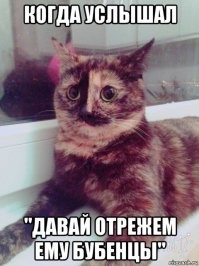 Как появились карточные масти, и что они означают?