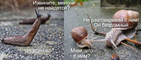 Фотоприколы и&nbsp;прикольные картинки