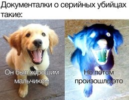 Комментарии и картинки из соцсетей. Свежак за 17 мая