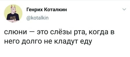 Фотоприколы и&nbsp;прикольные картинки