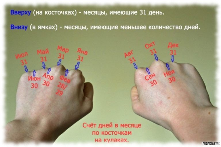 1000 дней в месяцах годах. 270 Суток это сколько дней месяцев. Сколько суток в 62 днях.