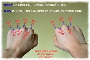 Фотоприколы и&nbsp;прикольные картинки