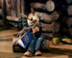 Фотоприколы и&nbsp;прикольные картинки