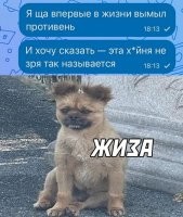 Отсюда вывод: тем, кто эту штуку называет "протвинь" (а есть и такие), должно житься легче!