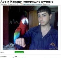 Интересно, кто есть кто, на фото?