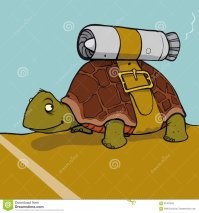 Остановился пропустить черепаху и спровоцировал ДТП