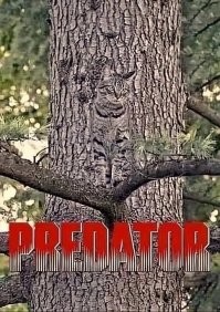 Кот – не только милота, но и котогопота