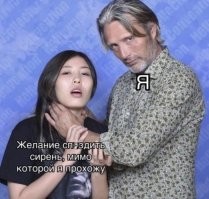 ДНР, посёлок Пантелеймоновка. В советские годы рядом с посёлком посадили парк, в котором доминирующим растением является сирень. Для жителей посёлка эта картинка непонятна, можешь хоть всю квартиру сиренью завалить.