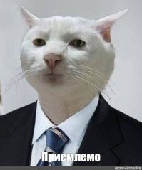 Скрины из соцсетей&nbsp;
