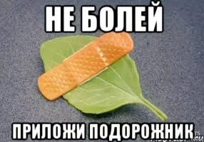 12 снимков фотографа, который объездил мир и показал аптечки жителей разных стран