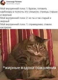 Фотоприколы и&nbsp;прикольные картинки