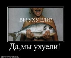 Нет это понимать надо ,это другое.
