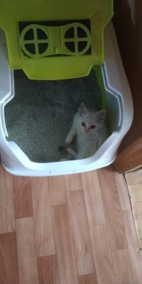 У нас похожая история)