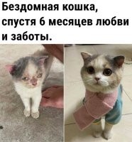 У нас похожая история)