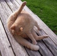 Ты тоже можешь стать харизматичнее. Делай как он.