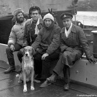 Торпедоносцы. Мурманская область.