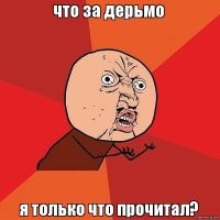 В дежурную часть ГУВД Владивостока с проверкой пришел Арнольд Шварценеггер