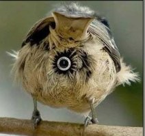 Фотоприколы и&nbsp;прикольные картинки