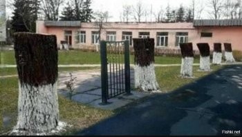 Фотоприколы и&nbsp;прикольные картинки