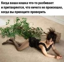 Это реклама второй части? Где можно посмотреть?