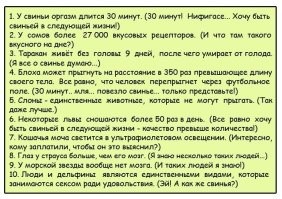 Почему цвет робы заключённых в США - оранжевый?