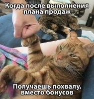 За выполнение плана ты получаешь свою з/п. С какого хера ты ждёшь каких-то бонусов?