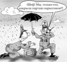 Мдя - как-то плохо у Вас с математикой. Согласно интернету суточная доза кокаина от 30 до 50 мг. В 1,5 килограммах = 1 500 000 мг / 30 мг дозы = 50 000 доз. 
Согласно все тому же интернету - грамм кокаина стоит от 13 до 20 тысяч рублей и цена такой "поставки" будет около 25 миллионов рублей.
Так что - не мелочь. Но и не тонны, которые идут через посольства. Ну, а что касается курьеров - их судьба, безусловно, никого интересовать не будет. Посадят, так посадят. Не удивлюсь если с них (или их родственников) еще и миллионные долги бычки трясти будут. Раз связались с г-ном то обляпаетесь обязательно.