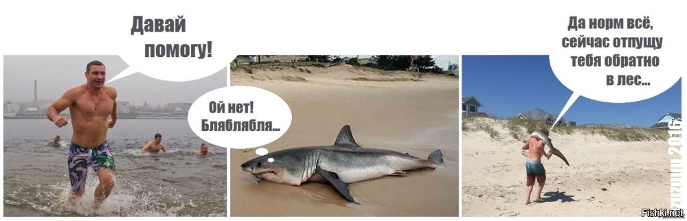 "Вот это я порыбачил": житель Сахалина поймал крупную сельдевую акулу