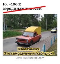 Смесь бульдога с носорогом: странные штуки, созданные больными людьми