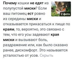Фотоприколы и&nbsp;прикольные картинки