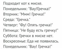 Была история у батиного сослуживца. 
Ему мама кота оставила, ещё в советские годы, на месяц. В санаторий поехала. 
Забила ему морозилку спинками минтая, ибо котик, ничего другого не признавал. 
Через месяц она увидела картинку, как кот, с громким мявом, чуть-ли не с ножа, шкурки от картошки срывал и жрал. 
Ибо дядька тот, сам, преспокойно тот минтай съел. И никаких особых разносолов для кота не делал. Что сам ел, тем и кормил.