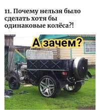 Смесь бульдога с носорогом: странные штуки, созданные больными людьми