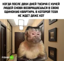 Моя мечта недельку хотя бы так пожить.