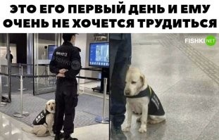 Уже восемь часов на посту и ни одного долбанного наркокурьера. Ни нюхнуть кокса, ни загрызть кого