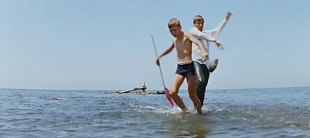 Про дельфинов напомнило.