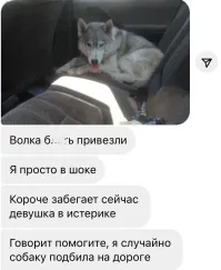 Скрины из соцсетей&nbsp;