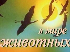 Ответный удар!