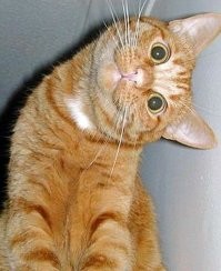 Технологии будущего