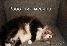 Не ищите здесь смысл. Здесь в основном маразм