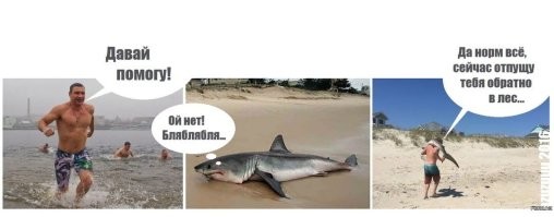 На школьницу дважды напала акула, но девочке удалось отбиться