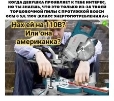 Фотоприколы и&nbsp;прикольные картинки