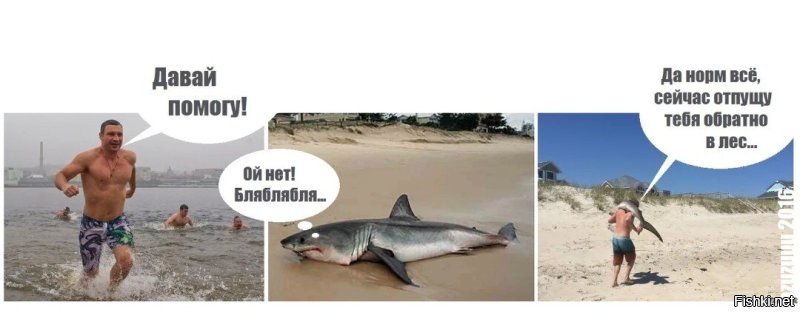 На школьницу дважды напала акула, но девочке удалось отбиться