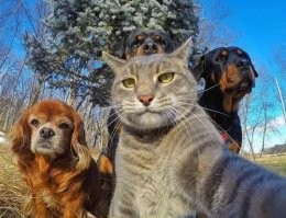 Просто эти четверо записали альбом,а на обложку выбрали эту фотку.Усатый-солист)