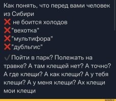 Мультифора, <span style='color:gray'>[мат]</span>))) Файлик это))