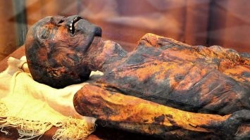 через неделю в холодильнике